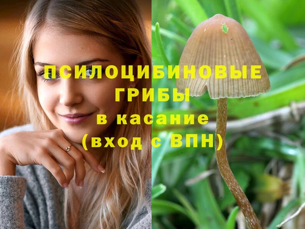 PSILOCYBIN Верея